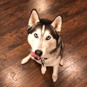 Meet your Posher, Eden